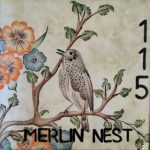 115-merlin-nest