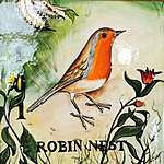 101-robin-nest