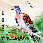 102-turtle-dove