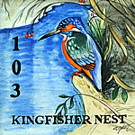 103-kingfisher