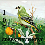 107-green-finch