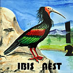 112-ibis