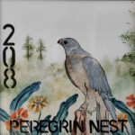 208-peregrine-nest