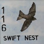 116-swift-nest