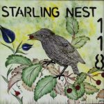 118-starling-nest